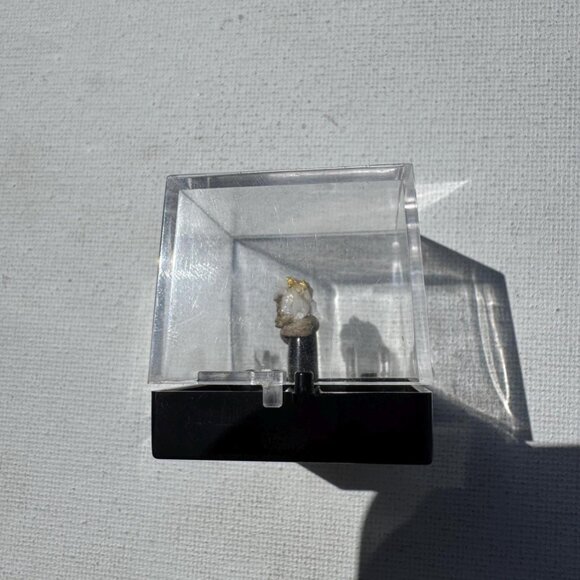Gold on Quartz - Natural California Gold Specimen in Perky Display Box - #8 - Picture 2 of 7